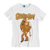 Scooby Doo Womens/Ladies Classic Shaggy T-Shirt