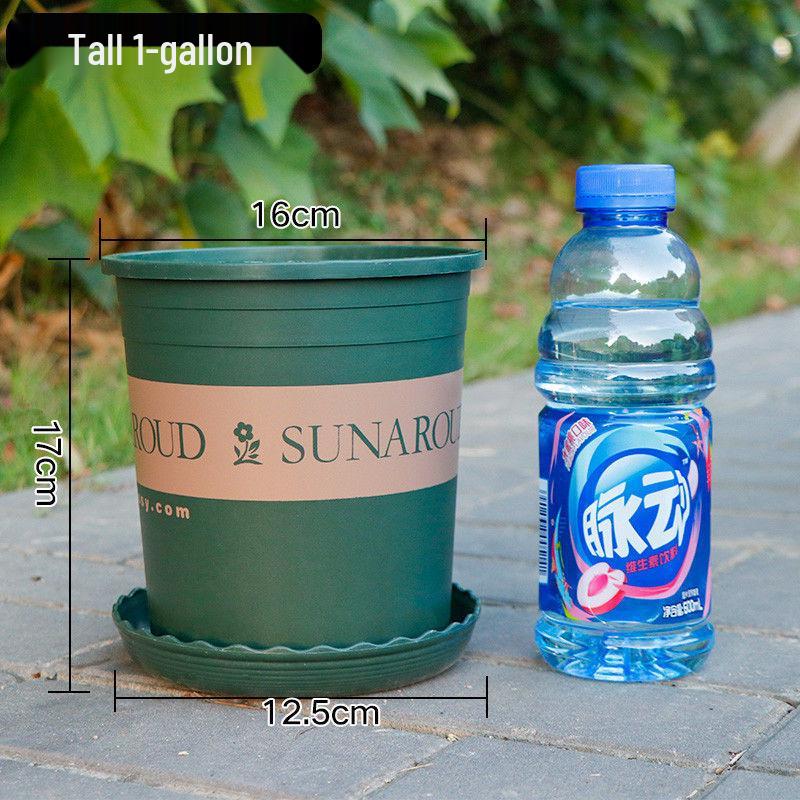 Durable Plastic Resin Plant Pot for Small Succulents & Large Bonsai, Breathable & Thickened for Balcony or Desktop Use.