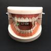 1 Paio Denti da Vampiro Zanne Protesi Oggetti di Scena Costume di Halloween Oggetti di Scena Denti Falsi Colla Solida Adesivo per Protesi Decorazione Festa di Halloween