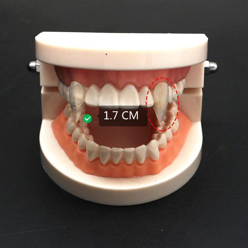 1 Paio Denti da Vampiro Zanne Protesi Oggetti di Scena Costume di Halloween Oggetti di Scena Denti Falsi Colla Solida Adesivo per Protesi Decorazione Festa di Halloween