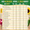 75 Vegetable Greens Seeds Variety Pack Garden Seed Starter Kit - Over 44 700 Non-GMO Heirloom Seeds for Planting Vegetables and