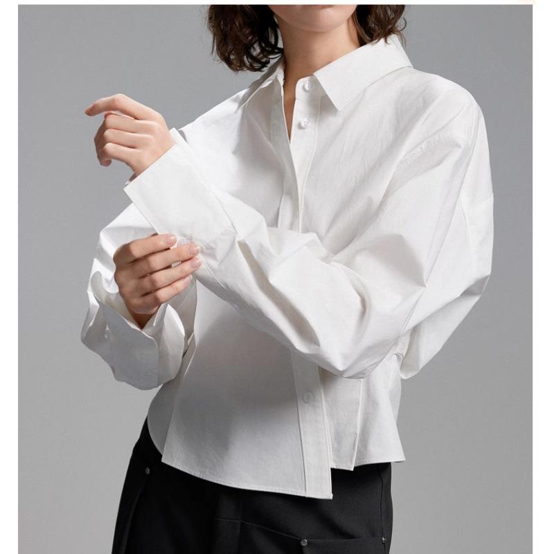 French-style foreign-style shirt, top, versatile and thin, casual and irregular design, long-sleeved shirt, small shirt, loose new.