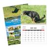 2026 Funny Cat Calendar Gag Gift Family Planner NEW Cat Butt Calendar  Office