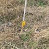 1PC Beach Plastic Ground Plug Spiral Plastic Umbrella Base Beach Umbrella Anchor Base Adjustable Sand Fixation Tool
