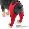Adjustable Dog Hind Leg Brace Breathable Post Surgery Cover Pet Knee Support Joint Support