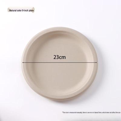 Assiettes jetables écologiques en bambou