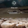 Hengyuanxiang Men's 100% Pure Wool Mock Layer Shirt Collar Sweater