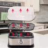 6-Egg Rapid Cooker with Auto Power-Off, Stainless Steel Body, 200W Efficient Boiling, Space-Saving Build
