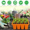 Silicone Nursery Tray 12 Grids Germination Trays Creative Plant Grows Box  For Flower Seeds