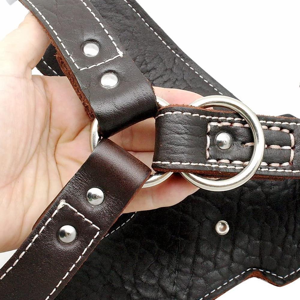 Cowhide Chest Sling for Medium and Large DogsHead Cowhide Dog Chest Sling for Training DogsVest Chest Sling