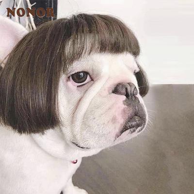 Peruki dla zwierząt rekwizyty do cosplayu śmieszne psy koty cross-dressing włosy kapelusz kostiumy akcesoria na głowę na Halloowen Boże Narodzenie artykuły