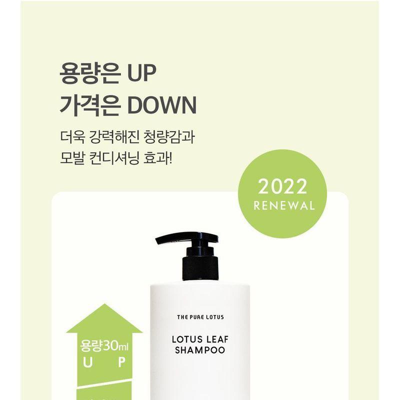 THE PURE LOTUS - Lotus Leaf Shampoo For Oily Scalp Jumbo