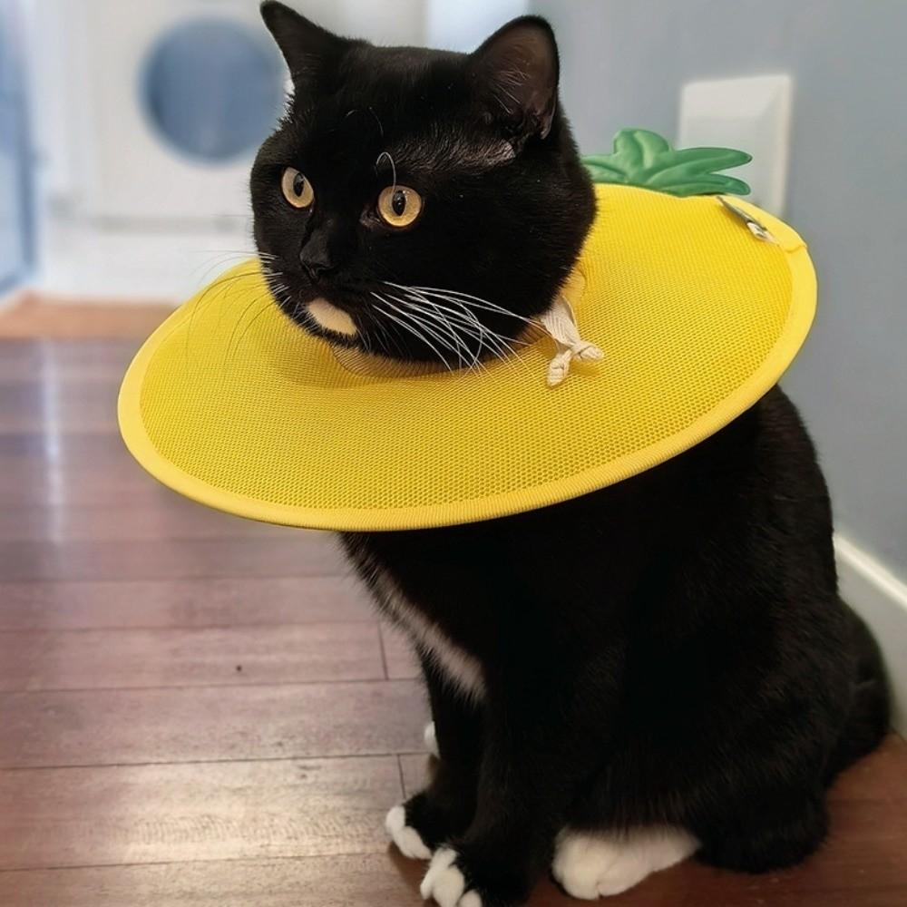 Weiche Fruchtform Kitty Genesungs-Halskrause Anti-Biss Hund Schutz-Halskegel Stoppt Lecken