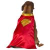Superman Krypto Dog Costume