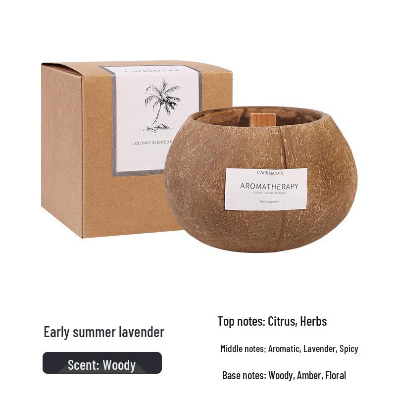 Coconut Shell Scented Candle Gift Box - Creative Bedroom Fragrance Souvenir