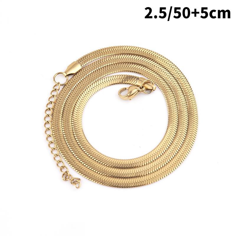 Personality Simple All-Match Hip-Hop Clavicle Chain Light Luxury European American Titanium Steel Non-Fade Flat Snake Bone Chain