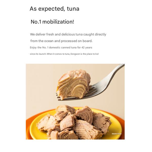 BTS Jin x Dongwon Tuna Light Standard 85g 4pcs + 2 Seal Stickers (Limited Edition Collaboration)