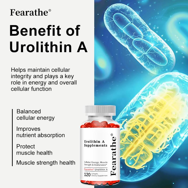 Supplément pour l'urolithiase 5000 mg - Énergie Cellulaire, Force Musculaire 120 Capsules