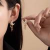 Nieuw Product Mode Temperament Populair Model Maan Ster Kwast Oorbellen Diamant Stud Oorbellen Sieraden