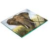 Tempered Multifunctional Decorative Glass Board Elephant Savannah 60x52 Cm