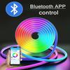 RGB Neon LED Strip Bluetooth App With Remote Control 5V USB Waterproof Neon Strip Light RGB Strip For Indoor Outdoor Home Decor