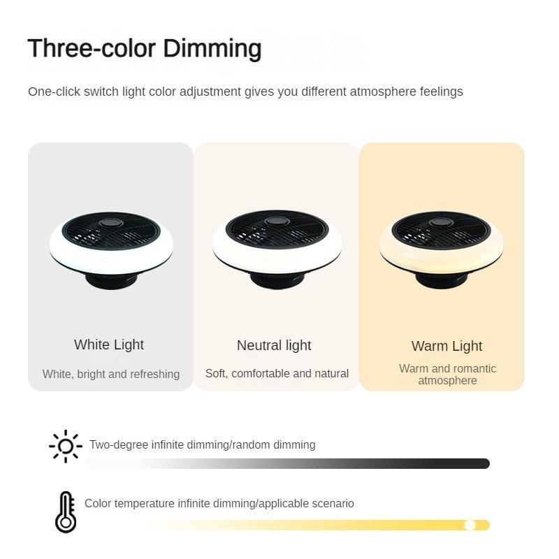 Household Integrated Electric Fan Light 45*20cm Modern Minimalist And Creative Fan Light Living Room Silent Ceiling Fan Lamp