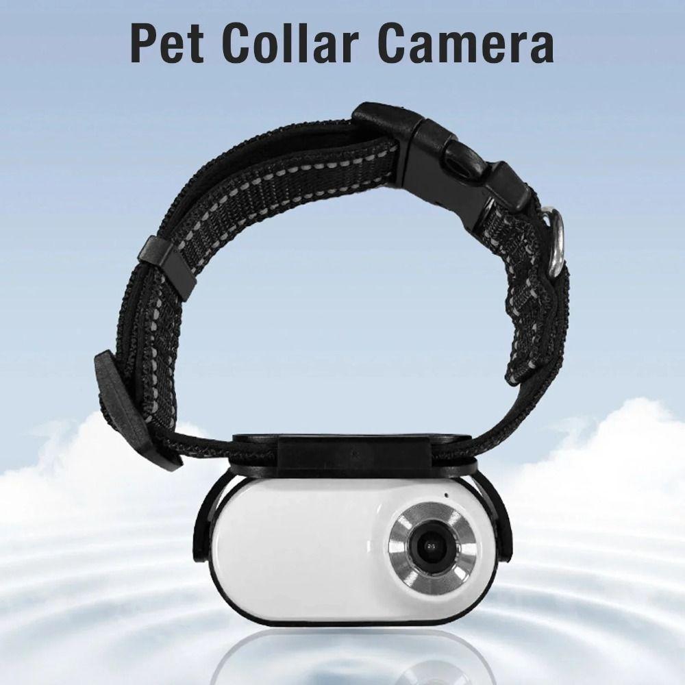 OTG Connection Dog Collar Camera 120 Deg Lens Video Recording Camera New Pet Collar Camera