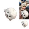 Marine Life Plush Toy Cute Seal Baby Stuffed Animal With Keychain For Kids And Collectors