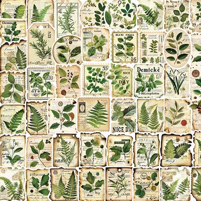 50 Etiketter med botaniska trädgårdsmotiv för journaler, telefoner, gitarrer, vattenmuggar - Grönt ögonskydd