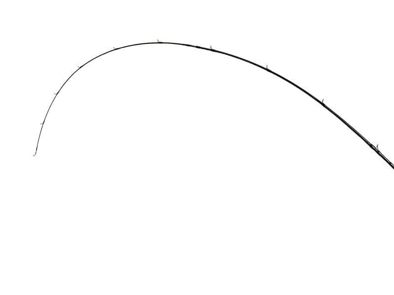 Fishman Beams blancsierra4.8UL