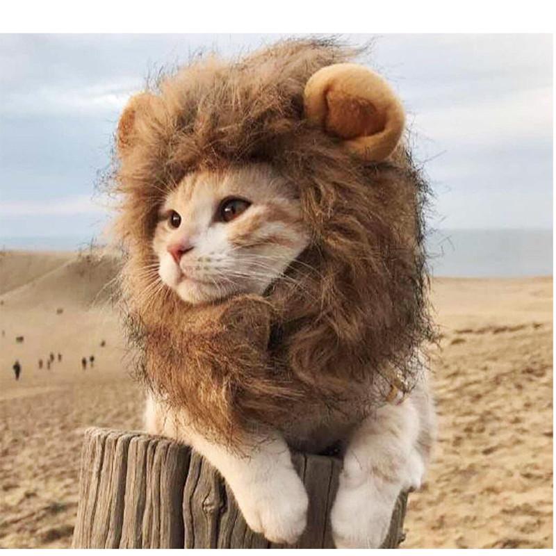 Cute Lion Mane Cat Wig Hat Cover Funny Pets Clothes Cap Fancy Party Dogs Cosplay Costume Kitten Puppy Hat with Ears Accessories
