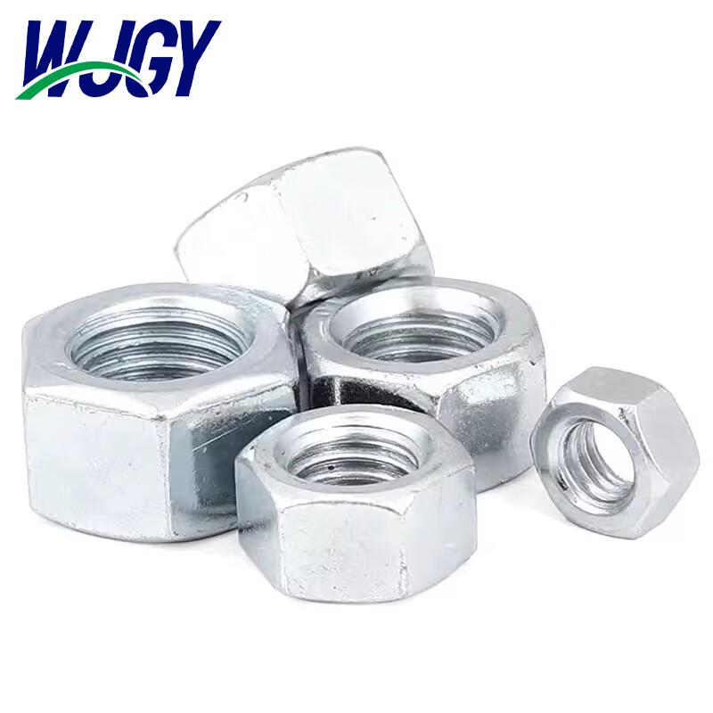Stainless Steel Hex Nut