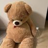 [USED] teddy bear stuffed toy
