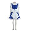 Anime Character Cosplay Eastern Project Sixteen Nights Sakuya Coswear For Male And Female Servants Cosplay Costumes Full Set Of Anime Dresses