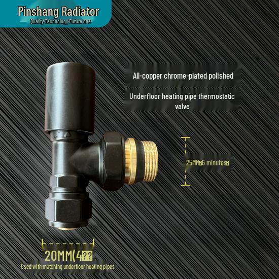 Pinshang Premium 20*6 All-Copper Thermostatic Valve with Polished Chrome-Plated Finish