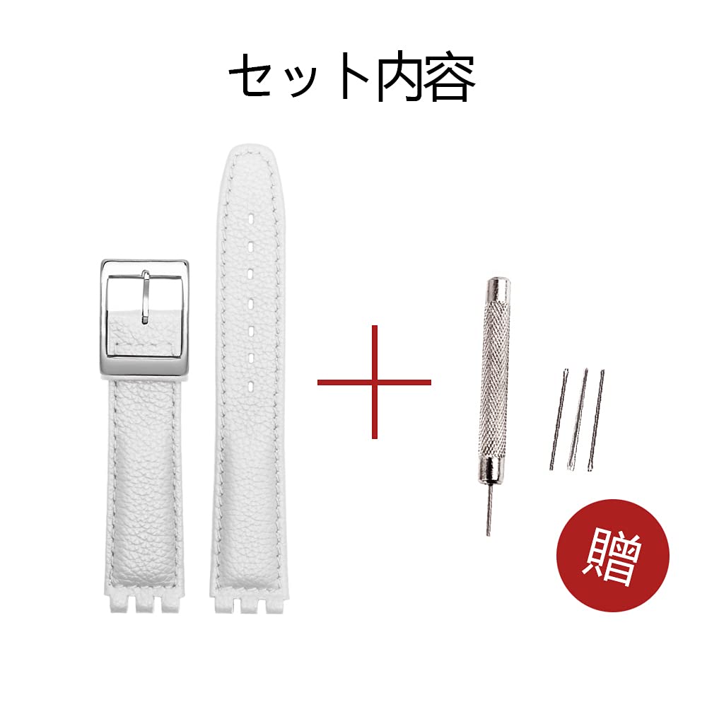 Chocoman Swatch Replacement Watch Band 3 Spring Spring Bar and 17mm/19mm [Includes Bars, Remover, Box]