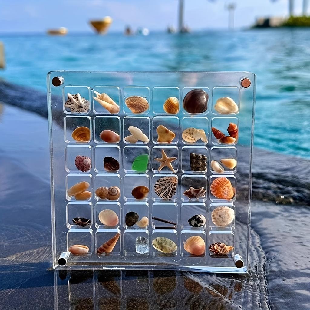 Scatola Espositore Magnetica in Acrilico per Conchiglie Scatola Espositore per Conchiglie Scatola Portaoggetti per Diamanti Organizzatori Piccoli per Hobby Scomparto 36 Griglie