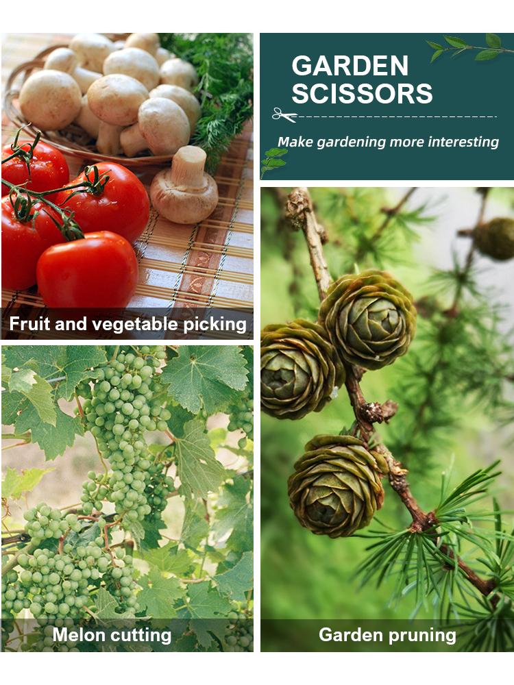 190mm Straight Head Pruning Shears Non-slip HandleStainless Steel Outils Manuels Household Bonsai Garden Scissors Pruing Shear