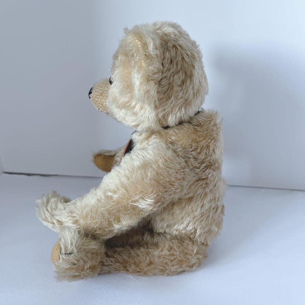[USED] Foreign Artist Teddy Bear