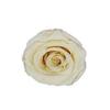 P-1  21 Preserved Roses in a Box Wedding Decor Floral Arrangements Wedding Dried Flower Home Decor Baby Shower Flowers 2~3cm