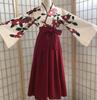 Taisho Roman Hakama Japanische Kleidung Kimono Hanfu Cosplay Ethnisches Kostüm Langes Kamelienmuster [Lady Lazy] Damen (Rot, L)