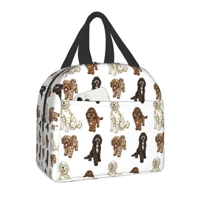 Lancheira térmica feminina, bolsa térmica impermeável para almoço, para escritório e escola, coleção Poodle Cross, Labradoodle Sproodle
