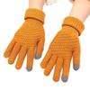 Winter Knit Solid Fleece Warm Student Gloves Unisex Outdoor Riding Touchscreen Jacquard Gloves