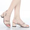Spring and Summer Footwear Plus Size High-heeled Sandals Women's Shoes Comfortable Pointed.