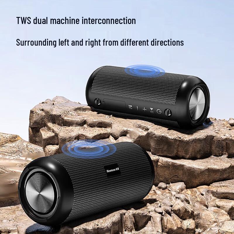 Newmine BT500 Wireless Bluetooth Speaker