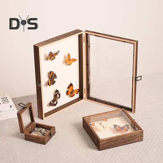 High-Visibility Display Box Large Insect Shadow Box Wood Construction Multiple Sizes Smooth Edge Insect Specimens Storage Display Case