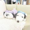 Snoopy Stuffed Animal, Cool Crawling Type, Huggable Pillow, Cool, Summer, Interior