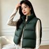 Puff Down Vest Women's New Couple Stand-up Collar Fashion Loose Casual Thickened Vest Jacket Tide