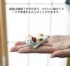 AEOLK Cute Decorative Cat Chopstick Ceramic Chopstick Suitable for Dining and Rests, Rests, 5-Pack, Family, Study, Table, Izakaya.