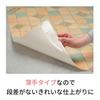 Nitoms PROSELF Tape for Cushion Flooring 50mm Wide X 20m Set of Made In Fixed To Rough Living Cushion Narrow A9236 Double-Sided No. 539, Long, 2,